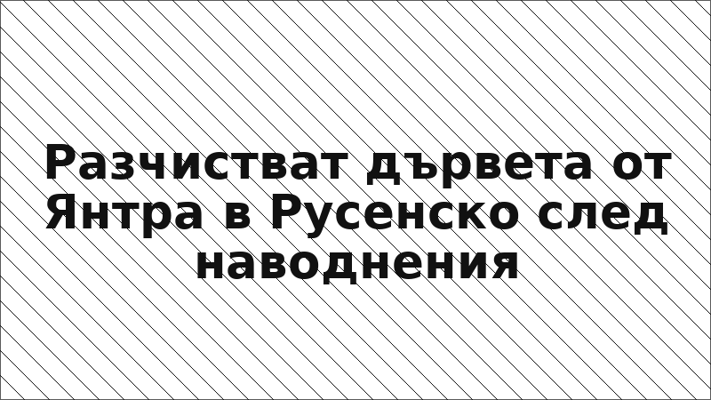 Разчистват дървета от Янтра в Русенско след наводнения