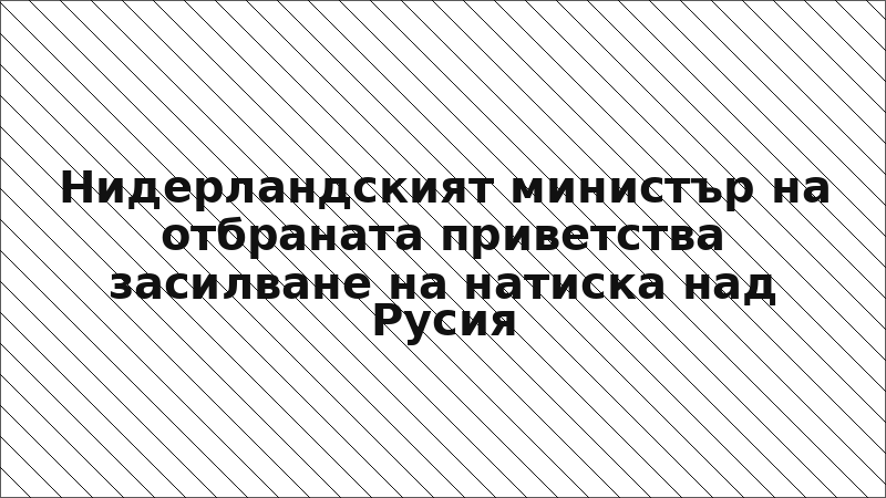 Нидерландският министър на отбраната приветства засилване на натиска над Русия