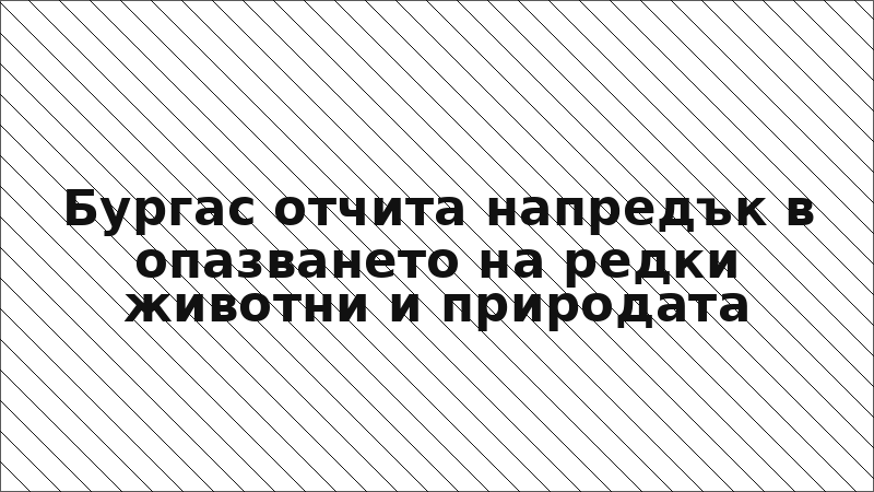 Бургас отчита напредък в опазването на редки животни и природата