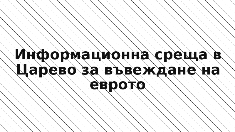 Информационна среща в Царево за въвеждане на еврото