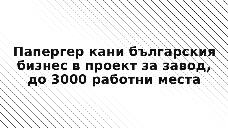 Папергер кани българския бизнес в проект за завод, до 3000 работни места