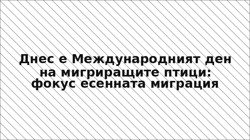 Днес е Международният ден на мигриращите птици: фокус есенната миграция