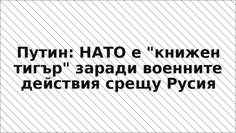 Путин: НАТО е "книжен тигър" заради военните действия срещу Русия