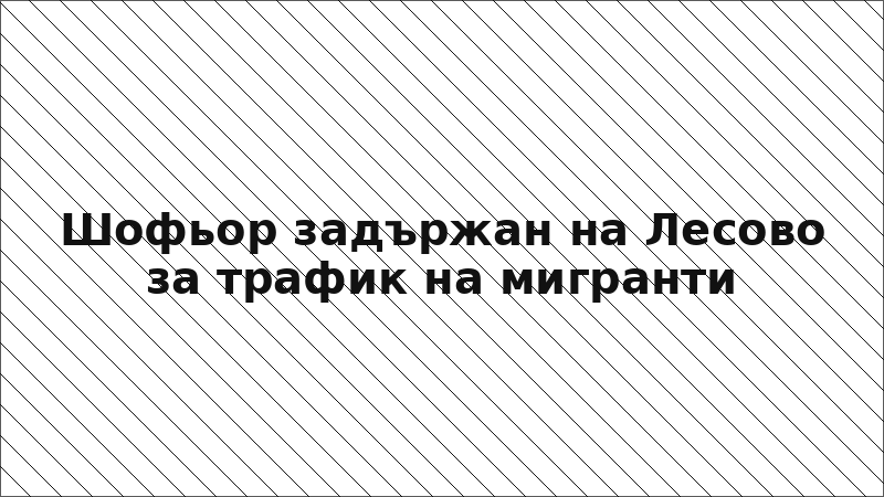 Шофьор задържан на Лесово за трафик на мигранти