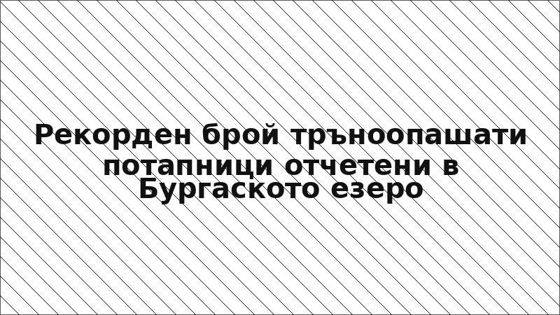 Рекорден брой тръноопашати потапници отчетени в Бургаското езеро