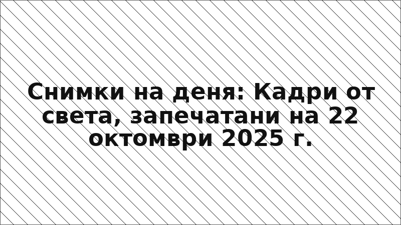 Снимки на деня: Кадри от света, запечатани на 22 октомври 2025 г.
