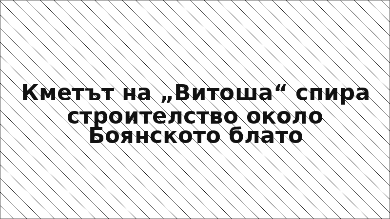 Кметът на „Витоша“ спира строителство около Боянското блато