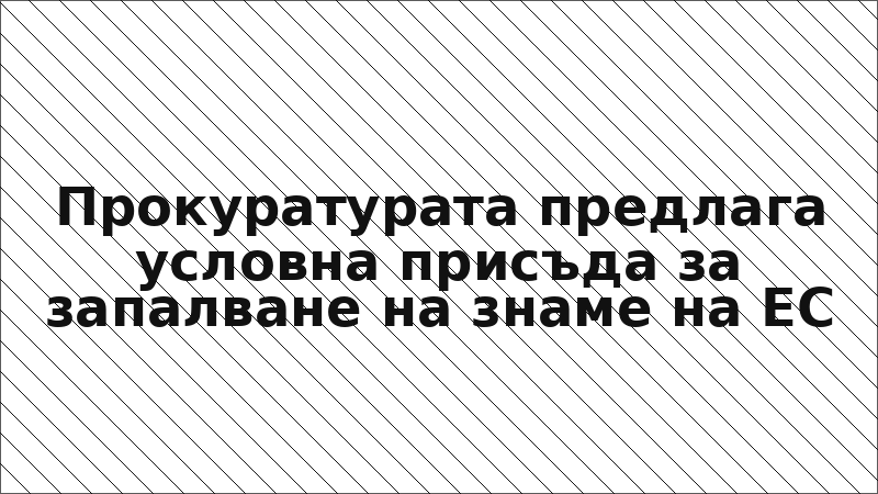 Прокуратурата предлага условна присъда за запалване на знаме на ЕС