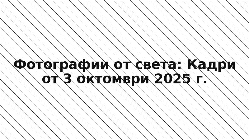 Фотографии от света: Кадри от 3 октомври 2025 г.