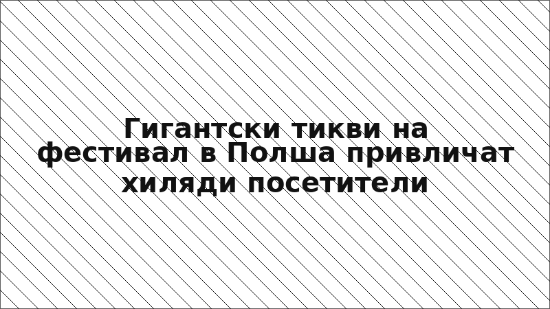 Гигантски тикви на фестивал в Полша привличат хиляди посетители