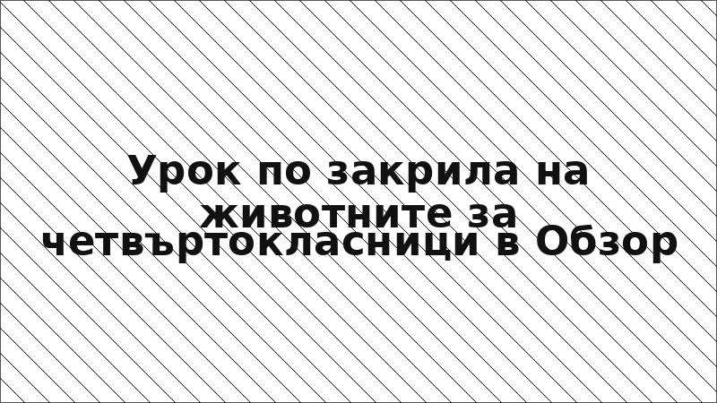 Урок по закрила на животните за четвъртокласници в Обзор