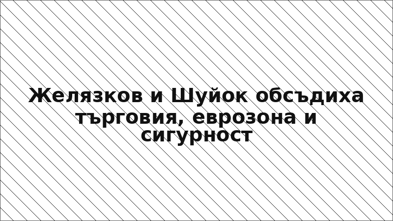 Желязков и Шуйок обсъдиха търговия, еврозона и сигурност