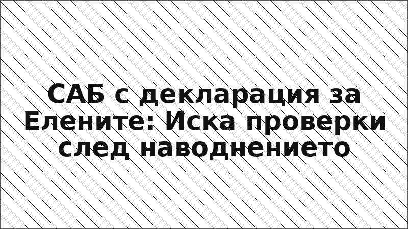 САБ с декларация за Елените: Иска проверки след наводнението