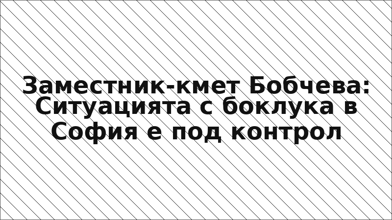 Заместник-кмет Бобчева: Ситуацията с боклука в София е под контрол