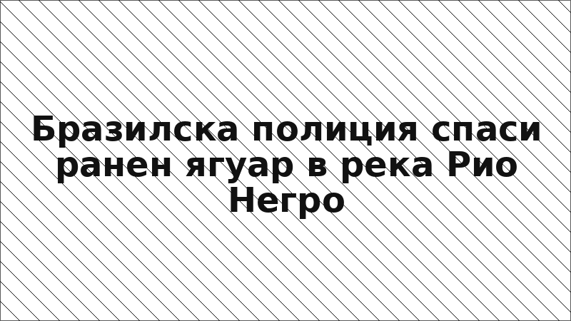 Бразилска полиция спаси ранен ягуар в река Рио Негро