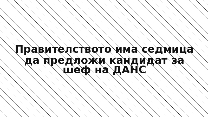 Правителството има седмица да предложи кандидат за шеф на ДАНС