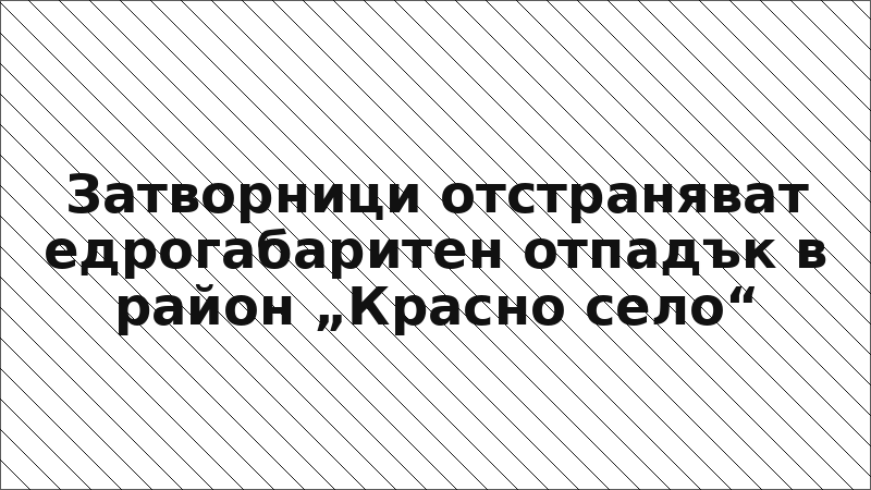 Затворници отстраняват едрогабаритен отпадък в район „Красно село“