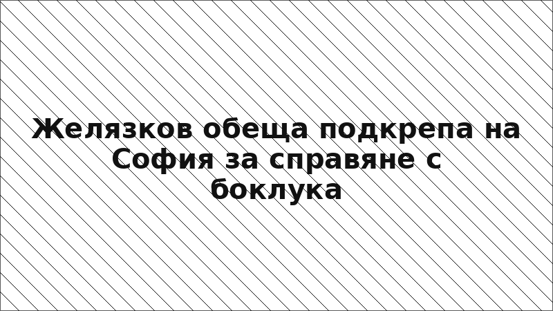 Желязков обеща подкрепа на София за справяне с боклука