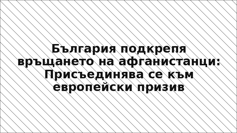 България подкрепя връщането на афганистанци: Присъединява се към европейски призив
