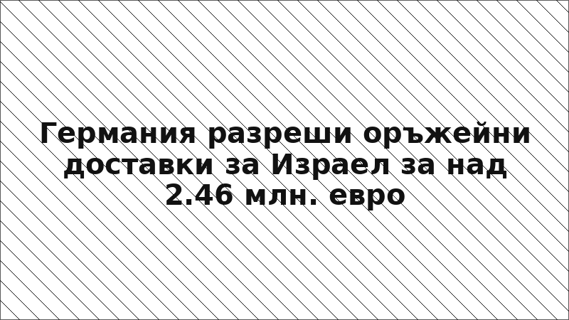 Германия разреши оръжейни доставки за Израел за над 2.46 млн. евро