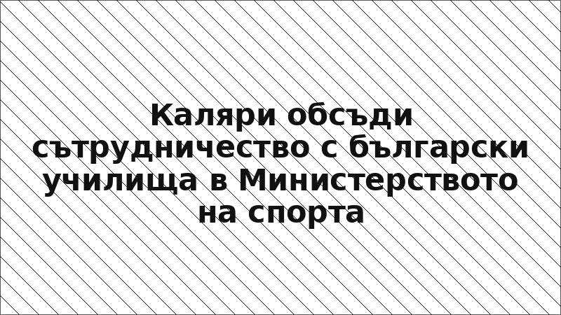 Каляри обсъди сътрудничество с български училища в Министерството на спорта