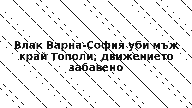 Влак Варна-София уби мъж край Тополи, движението забавено