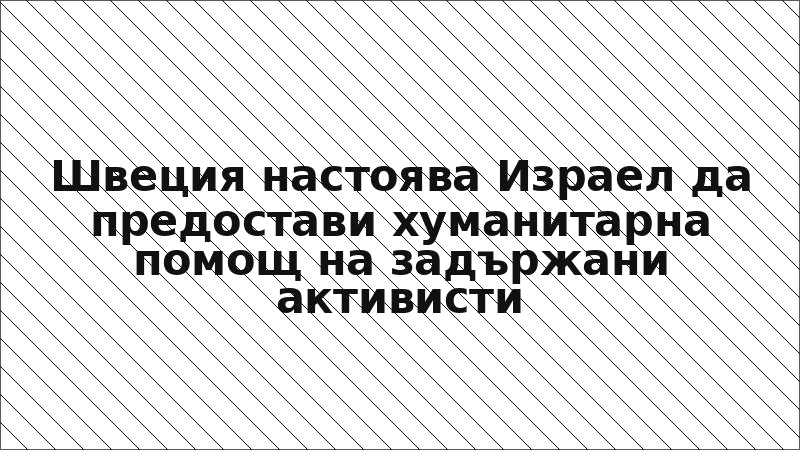 Швеция настоява Израел да предостави хуманитарна помощ на задържани активисти