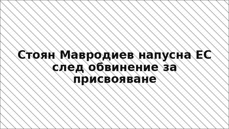 Стоян Мавродиев напусна ЕС след обвинение за присвояване