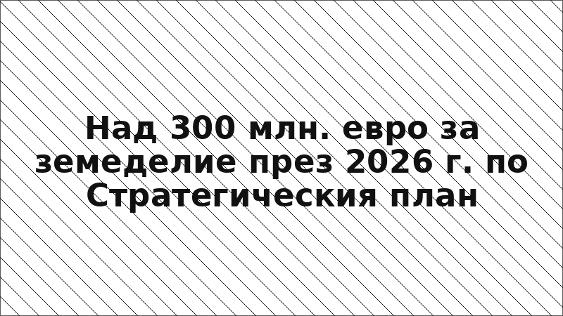 Над 300 млн. евро за земеделие през 2026 г. по Стратегическия план