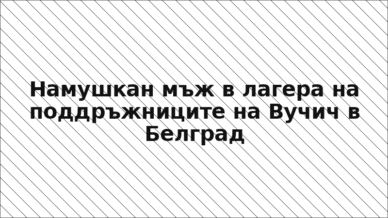 Намушкан мъж в лагера на поддръжниците на Вучич в Белград