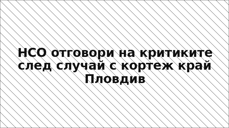 НСО отговори на критиките след случай с кортеж край Пловдив