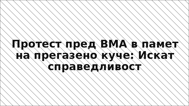 Протест пред ВМА в памет на прегазено куче: Искат справедливост
