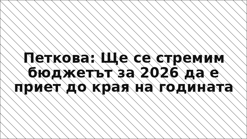 Петкова: Ще се стремим бюджетът за 2026 да е приет до края на годината