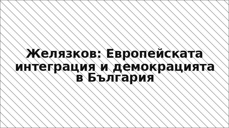 Желязков: Европейската интеграция и демокрацията в България