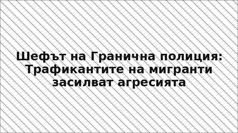 Шефът на Гранична полиция: Трафикантите на мигранти засилват агресията