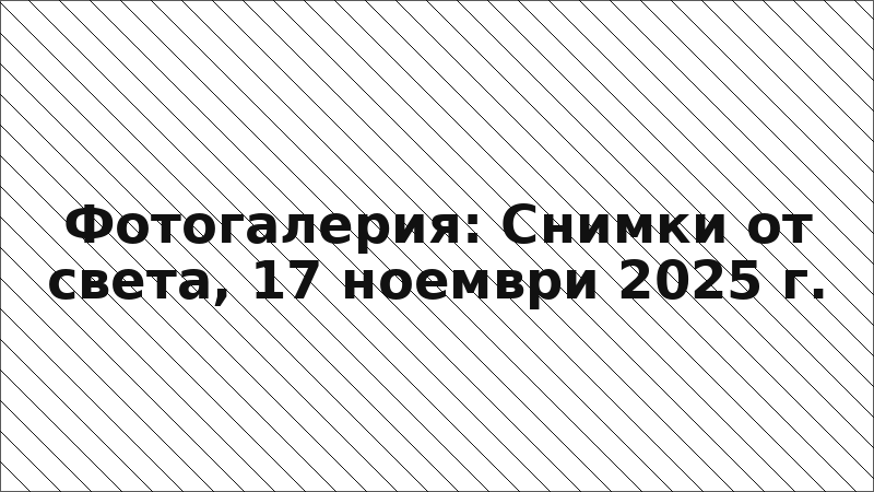 Фотогалерия: Снимки от света, 17 ноември 2025 г.