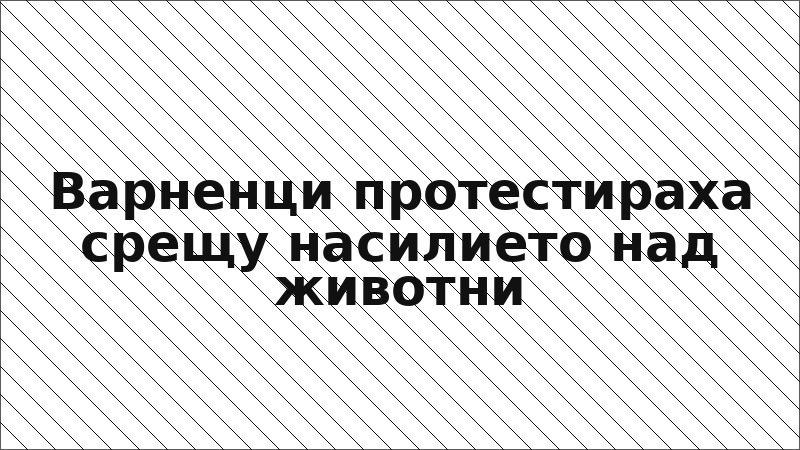 Варненци протестираха срещу насилието над животни