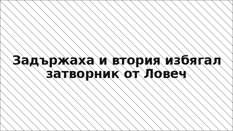 Задържаха и втория избягал затворник от Ловеч