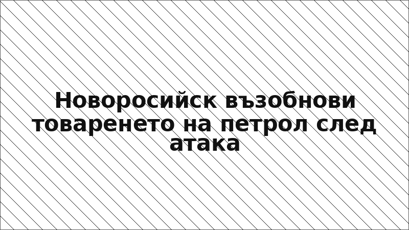 Новоросийск възобнови товаренето на петрол след атака
