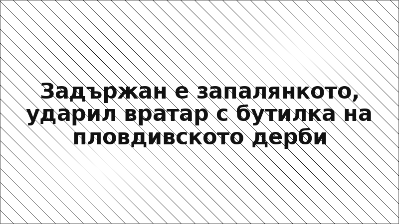 Задържан е запалянкото, ударил вратар с бутилка на пловдивското дерби