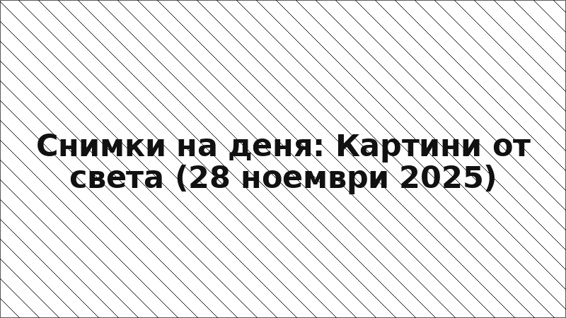 Снимки на деня: Картини от света (28 ноември 2025)