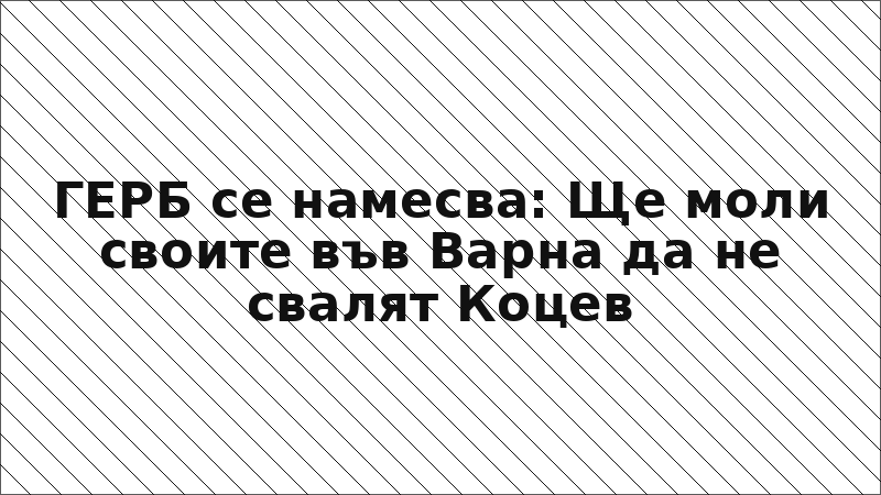 ГЕРБ се намесва: Ще моли своите във Варна да не свалят Коцев