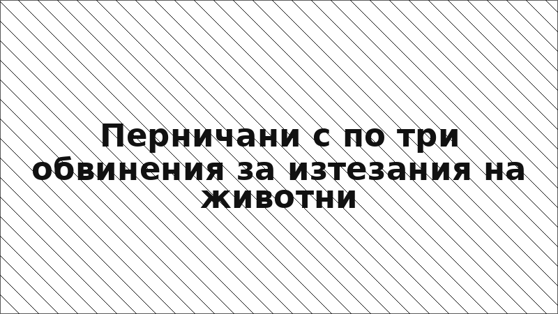 Перничани с по три обвинения за изтезания на животни