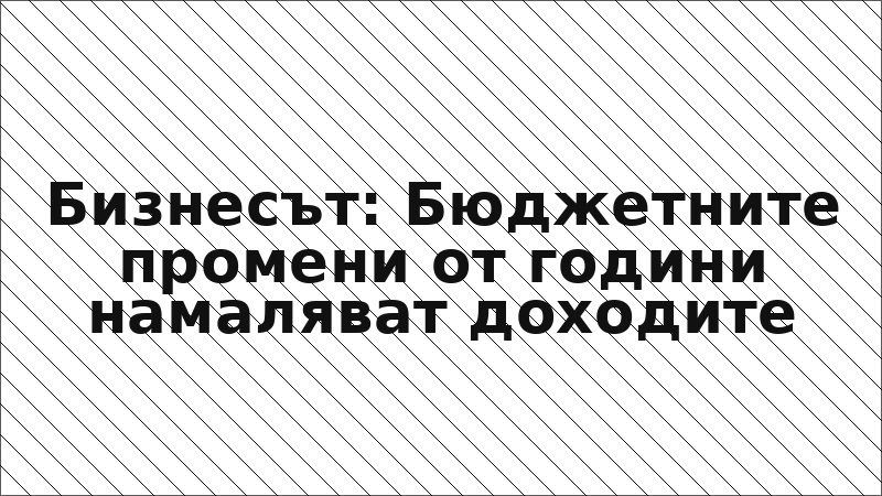 Бизнесът: Бюджетните промени от години намаляват доходите