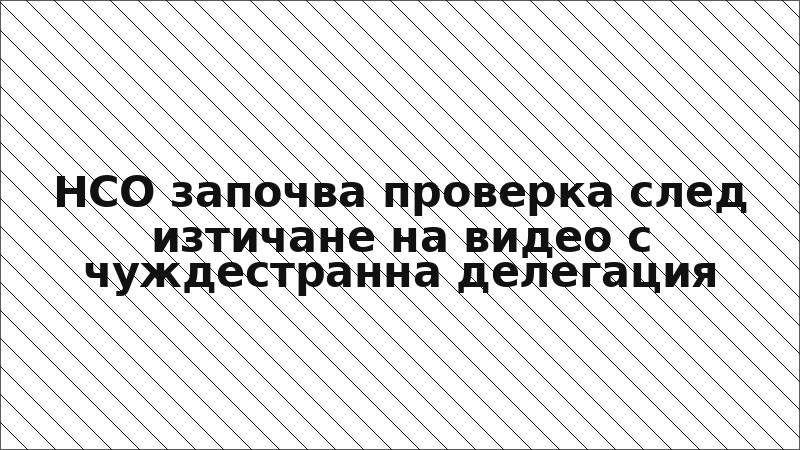 НСО започва проверка след изтичане на видео с чуждестранна делегация