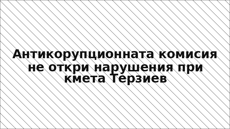 Антикорупционната комисия не откри нарушения при кмета Терзиев
