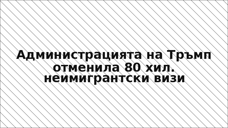 Администрацията на Тръмп отменила 80 хил. неимигрантски визи