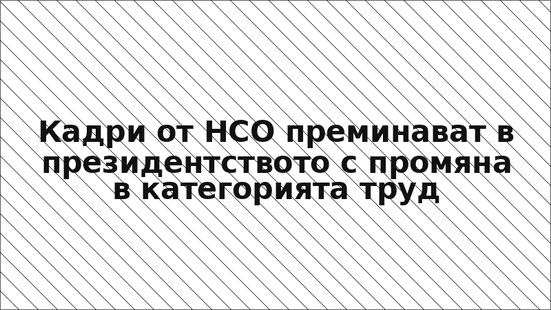Кадри от НСО преминават в президентството с промяна в категорията труд