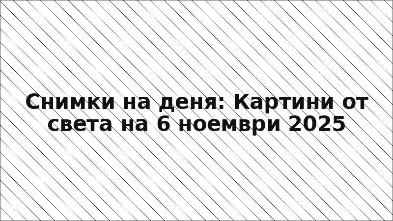 Снимки на деня: Картини от света на 6 ноември 2025