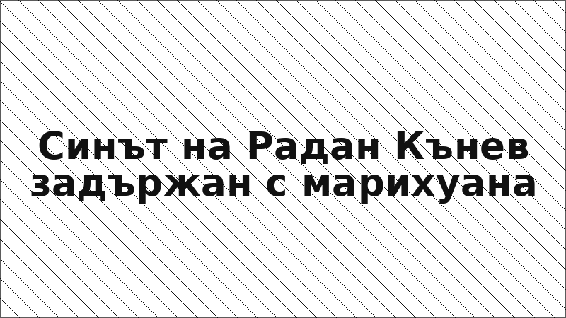 Синът на Радан Кънев задържан с марихуана
